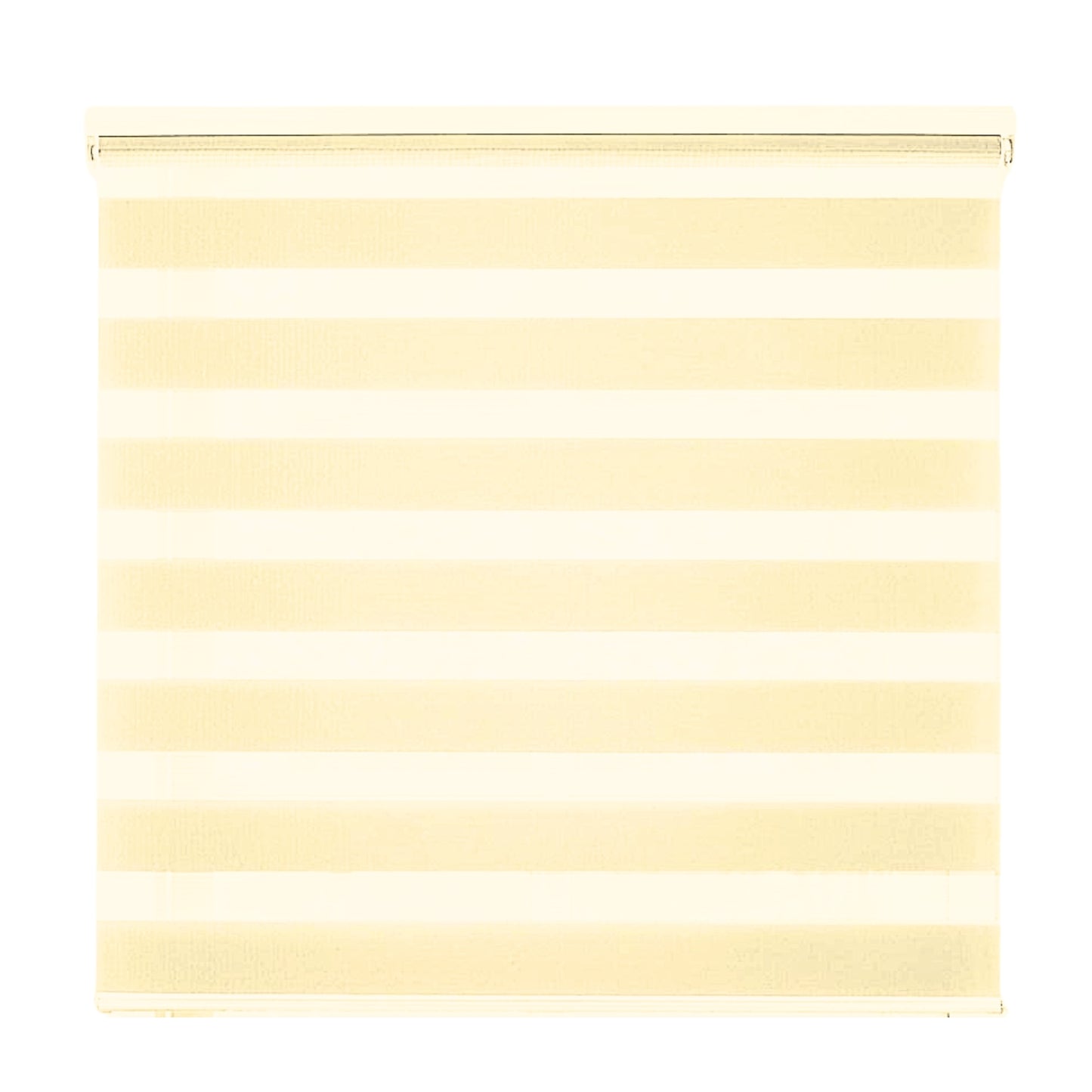 Cortina Roller Screen Duo -  Cream
